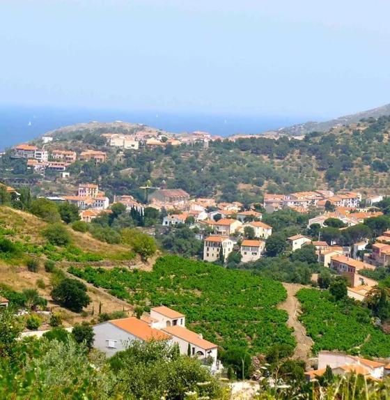 La Cigaliere En Cote Vermeille Latour-Bas-Elne Εξωτερικό φωτογραφία